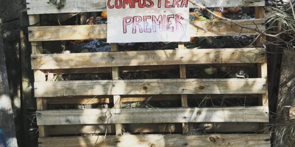 119681766_328159875109466_7670295503783825669_n