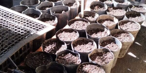 342086935_2328200754006260_1060709822457836571_n